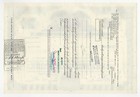 National Steel Corporation Stock Certificate