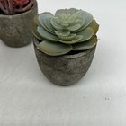 Set Of 8 Indoor Home Decor Different Mini Artificial Succulents Plants With Pot