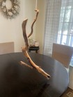 Manzanita Wood  Driftwood  Reptile Tank Decor  Fishtank Aquascape Or Terrarium 
