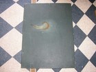 Antique Ny History Book Dolphs Property Atlas Nassau County Long Island Map 1939