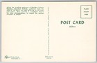 Vintage Florida Cypress Gardens Orchids Spanish Moss Tree Postcard Unp