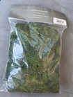 10 5  Preserved Assorted 100   Reindeer Moss In Bag - Green  2 Packs  New  