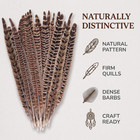 10 Pcs Long Pheasant Tail Feathers Natural Pheasant Feathers Floral Arrangement
