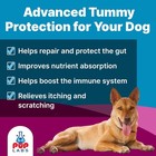 Pup Labs K9 Belly Bliss  All-natural Gut Health For Dogs  Vet Approved brand     