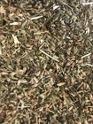 Catnip Wildcrafted Bulk Fresh   1oz - 20lb   100  Premium Cats Treat