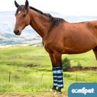 Comfpet Gel Horse Ice Pack With Carry Case  Reusable Cooling 1 Pack  Blue 
