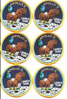 Apollo 11 Original Nasa Launch Team Mission Patch - Lion Brothers