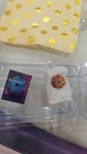 7 Mukhi Rudraksha  seven Face -mahalakshmi Rudraksh-collector Nepal Bead-18 4 Mm