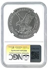 2025 1oz Silver American Eagle Ngc Ms70 Early Releases - Blue Label
