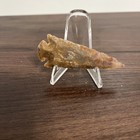 Arrowhead Unknown Origin