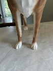 Rare Barker magic Old Navy Dog Mannequin
