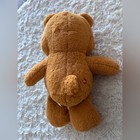 Care Bears Brown Plush With Red Heart