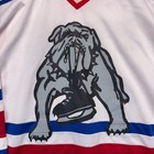 Athletic Sewing Hockey Jersey Youth L xl White Bulldog Chicago Park District