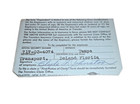1961 Atlantic Coast Line Railroad Acl Employee Insurance Card