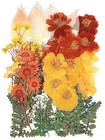 100 Pcs Real Dried Pressed Flowers Leaves Natural Plant Herbarium Yellow 100
