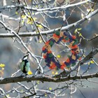 Christmas Pet Gift Swing Chew Toys Bird Swing Bar Bird Cage Toys Bird Rope Perch