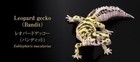 Bandai Gashapon Leopard Gecko Action Figure Advance Bandit 17cm Japan 2026