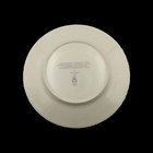 Vtg Daniel Boone Hotel Charleston Wv West Virginia 11  China Dinner Show Plate