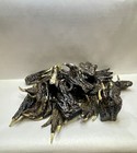 Lot Of 25 Medium Alligator Feet Crafting Oddity Wholesale