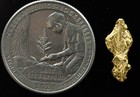 L-44 Exotic Dendritic Alaskan Bc Natural Gold Nugget  983 Grams Genuine