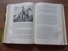 The Horse Judging Breeding Feeding Management Selling Kays  Horse Hb Book