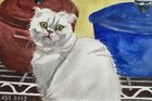 Custom Pet Portrait Commission Original Watercolor Painting Sympathy Gift Art