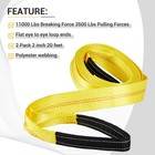 Pindex 2 Pack 2  X 20  Web Lifting Sling 11000 Lbs Breaking Force 3500 Pulling