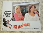 The Animal  l animal  1977 Original 11x14 Lobby Set Of 8 Cards Raquel Welch