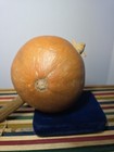Native American Indian Hopi Or Navajo Dance Gourd Rattle  1880 s - 1900 s Read