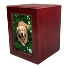 3 9 X 3 6in Red Wooden Funeral Cremation Urn With Photo Frame For Dogs And Cats