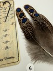 Malayan Peacock Pheasant  Eye Feathers  3 Pair   6