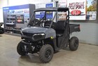 Polaris Ranger     500 567