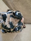 Fao Schwarz Spotted Alligator Crocodile Plush 11 
