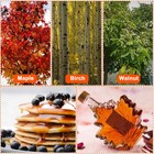 Maple Syrup Tree Tapping Kit With 5 Stainless Steel Maple Taps 16 4ft Maple S   