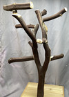 3ft Parrot African Grey Cockatoo Manzanita  Bird Stand Play Stand Gym  102