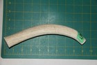 Medium Upper Elk Antler Dog Chew  17   Bone Chews Moose Treats Deer 305