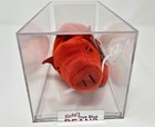 Authenticated Grunt Ty Beanie Baby Razorback Pig 3rd 2nd Gen Mwmt Mq Red 