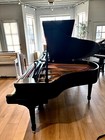Steinway M Satin Finish 5 7  Grand Piano