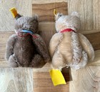 2x Steiff Original Teddy 7  Vintage Jointed Mohair Teddy Bear 0201 18   0202 18