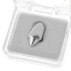 Vampire Fang Set Silver Tone 2 Canine K9 Dracula Fangs And Two Bottom Teeth Caps