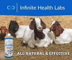 Purge - Natural Wormer   Coccidia Tx For Cattle  Goats  Sheep    Pigs- 32 Oz
