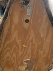 Longhorn Taxidermy Head Shoulder Horn Mount 62    Wide Local Pickup