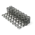Brian Crower Single Valve Springs Fits Honda acura K20a3 k24a