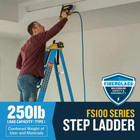 Werner 6 Ft  Fiberglass Step Ladder With 250 Lb  Load Capacity Type I Duty Ratin