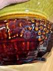19th C Antique Rare 2 Color Treacle chartreuse Glazed Pottery Cuspidor pot