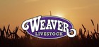 Weaver Leather Livestock Goat Collar  Pink Fusion  Small
