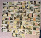 Lot Of 50 Arbuckle Brothers Coffee Trading Cards Maps Of States And Territories