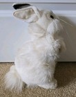 Hansa White Tail Rabbit Realistc Plush Stuffed Animal 2010 Sitting 10  Tall