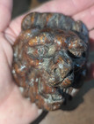 Antique Lion Head Architectural Salvage Furniture Embellishment Wood Composite