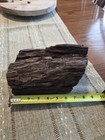 12 Lb Petrified Wood - Raw Specimen - Landscaping Rock